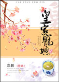 皇家宠媳小说阅读